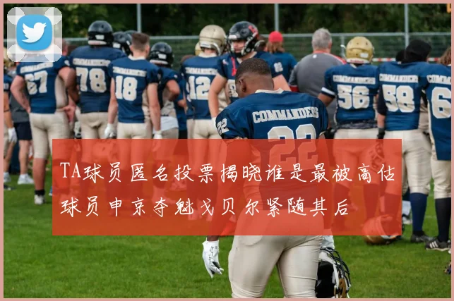 TA球员匿名投票揭晓谁是最被高估球员申京夺魁戈贝尔紧随其后